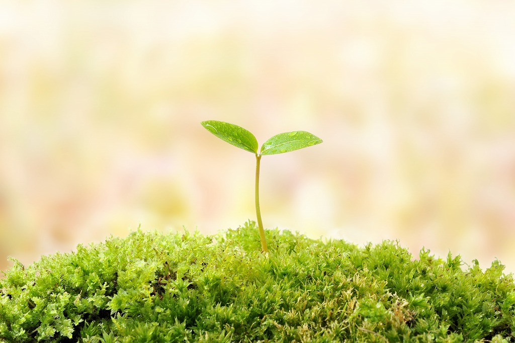 キャリアマップ